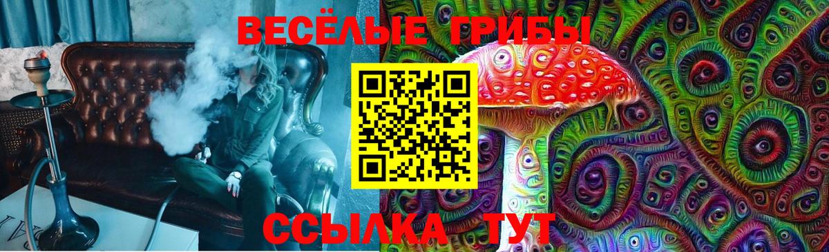 Псилоцибиновые грибы Cubensis Хасавюрт