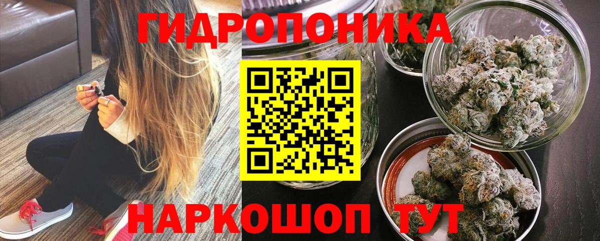 Марихуана гибрид  Шишки марихуана Bruce Banner  Хасавюрт  Вход с VPN  Марихуана Bruce Banner  МАРИХУАНА VHQ 